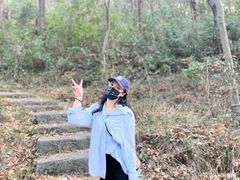 -青龙山国家森林公园
