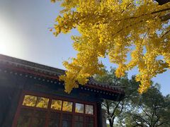 -北京国子监胡同