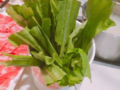 油麦菜-密友回转自助火锅(世茂国际广场店)
