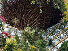 -吉庆街美食广场