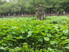 -四川大学(华西校区)