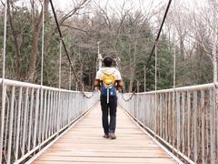 -帽儿山国家森林公园