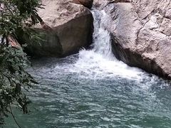 -广州白江湖森林公园