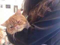 -平行世界·猫咖(首经贸店)