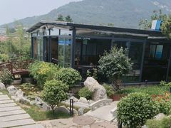 -蘇河湾·新鲁菜·泰山宴(泰山店)