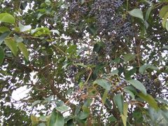 -祥源·阜阳生态乐园