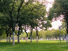 -天鹅湖体育公园