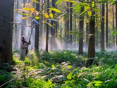 -黄海国家森林公园