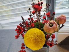 -南堂馆·新川菜(春熙路店)