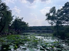 -承德避暑山庄景区