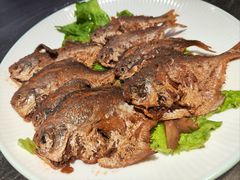 -凤霞海鲜大排档·天津菜(抗震路店)