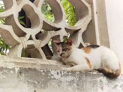 -西园寺