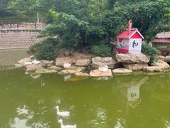 -贮水山儿童公园