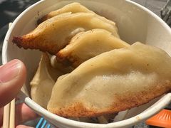 -洋洋锅贴