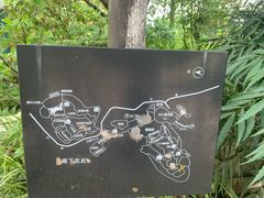-南山植物园