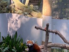 -杭州动物园
