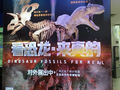 -正佳自然科学博物馆