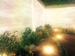 -印象莫奈时光映迹艺术展