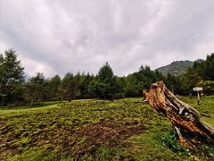 -硗碛藏寨·神木垒景区