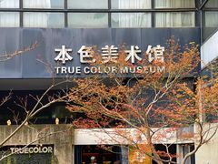 -苏州本色美术馆