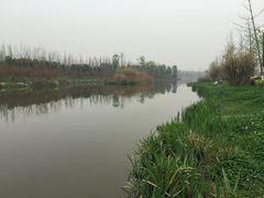 -白鹭湾湿地公园