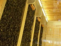 -热带雨林汗蒸馆(汶水东路店)