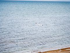 -青海湖二郎剑景区