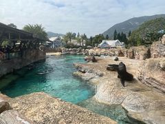 -珠海长隆海洋王国