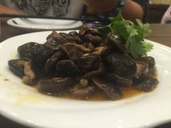 -苗氏卷子鸡(张掖金鸿大厦店)