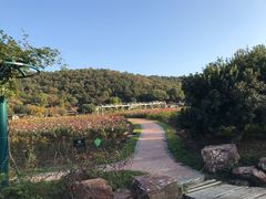 -龙寺生态园
