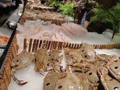 -吉布鲁牛排海鲜自助(武侯银泰城店)