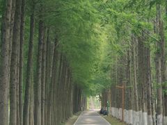-柳鹭田园区