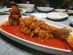 松鼠大桂鱼-绿波廊(豫园店)