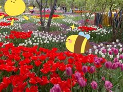 -石家庄市植物园