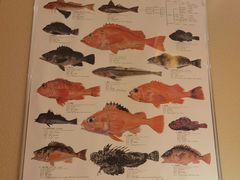 -镹·鱼料理  国产鱼使用店