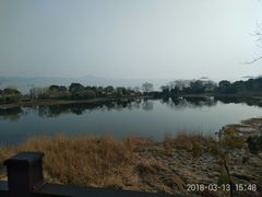 -上海市保健医疗中心(华东疗养院)