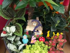 -秦美花卉(天朗·莱茵小城2期店)