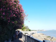 -黄金海岸环岛路
