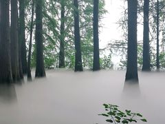 -东湖落雁景区