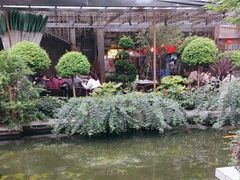 -大融厨·鸡毛店·川菜(果壳里东安湖店)