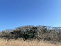 -济州森林小火车生态公园
