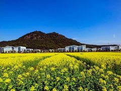 -湘湖金融镇