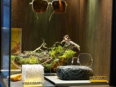 -大视光学•LINDBERG林德伯格•全球手工眼镜集合店(王府井店)