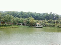 -大屏嶂森林公园
