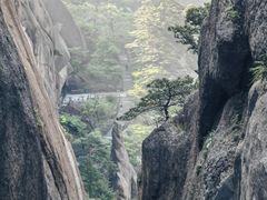 -黄山风景区
