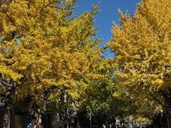 -大碗岛咖啡·苍山绝美窗景(大理古城步行街七年品牌店)