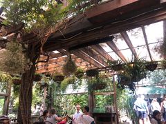 -The Grounds of Alexandria