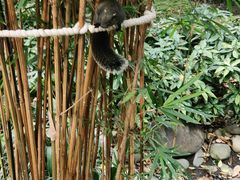 -成都市活水公园