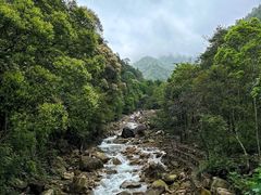 -姑婆山旅游区