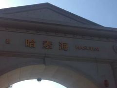 -哈素海
